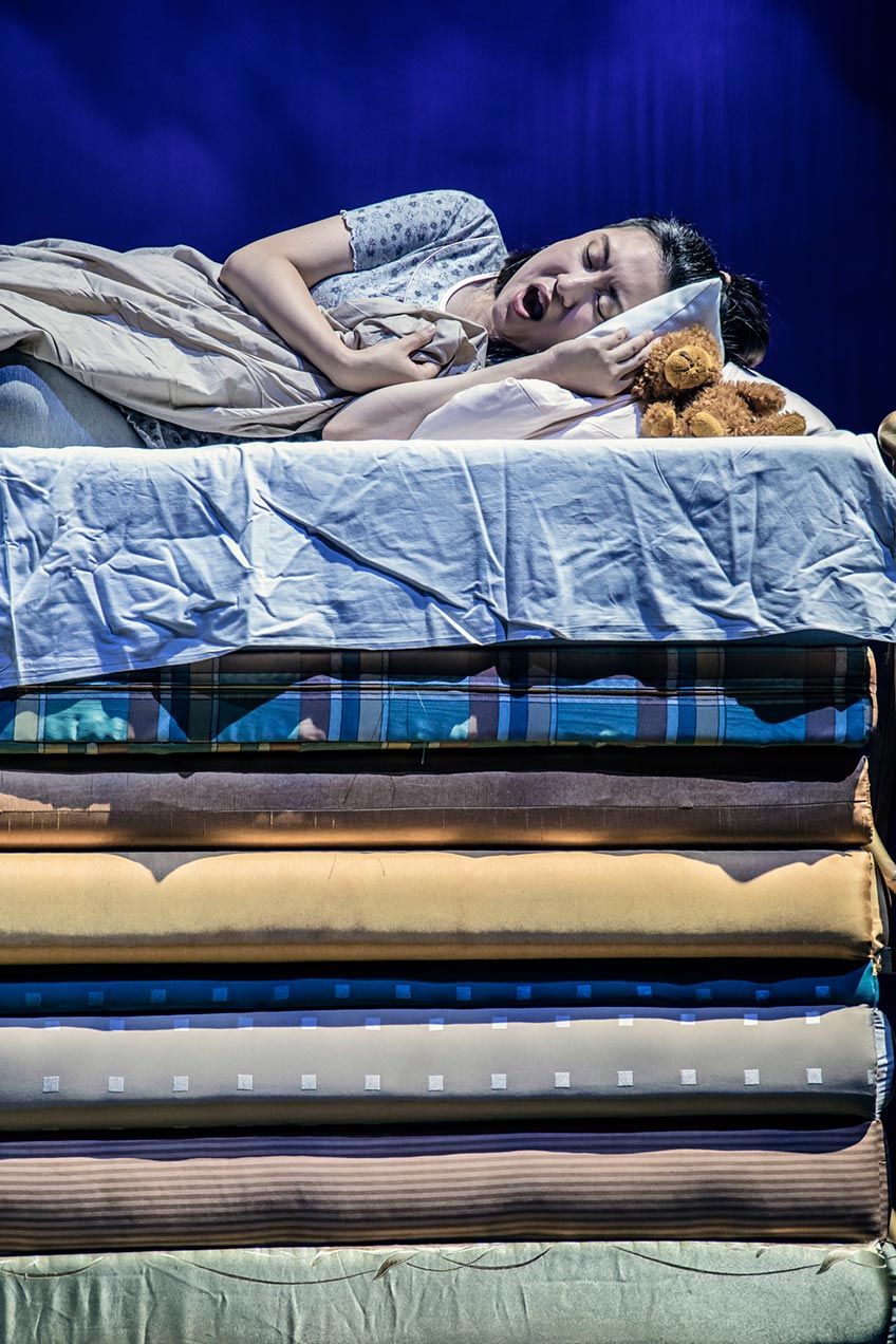 Der Prinz ist verzweifelt: So lange schon sucht er eine Braut, aber keine erweist sich als standesgem&auml;&szlig;. Als er sich dann erneut verliebt, stellt seine Mutter die Auserw&auml;hlte auf eine Probe, die eigentlich niemand bestehen kann. 