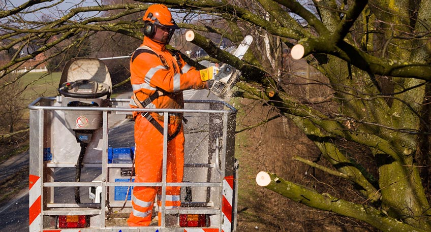 gehoelzpflege baum faellen strassen nrw 000