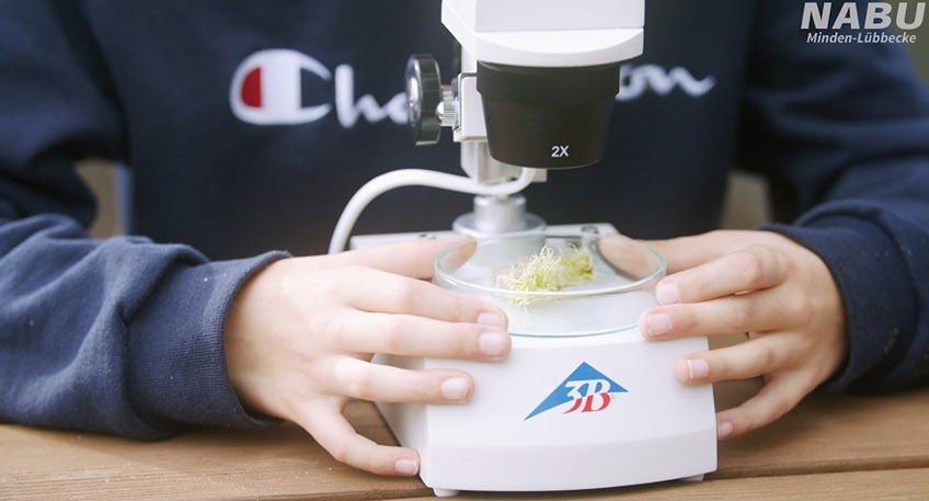 Im M&auml;rz bietet das Bildungsteam des NABU Besucherzentrum Moorhus ein abwechslungsreiches Programm f&uuml;r Kinder und Jugendliche an.