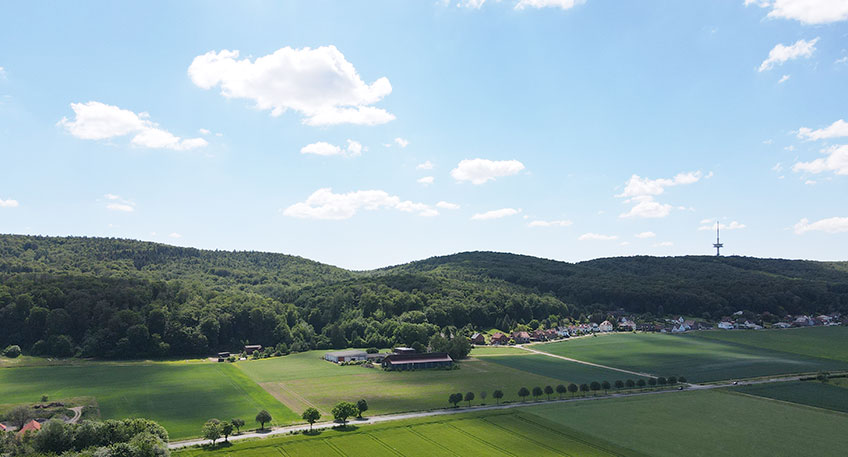Den Wald als Klimaschützer Nummer 1 und Hort der Biodiversität zu schützen, sieht Umweltministerin Ursula Heinen-Esser als zentrale politische Gegenwarts- und Zukunftsaufgabe.
