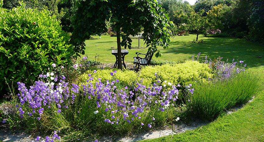 Endlich ist es wieder soweit. Nach zwei Jahren Pandemiepause &ouml;ffnen die G&auml;rten im M&uuml;hlenkreis wieder ihre Pforten f&uuml;r Besucherinnen und Besucher. Zehn G&auml;rten sind in diesem Jahr dabei.      Den Anfang macht am 7. und 8. Mai, der Garten der T&ouml;pferei Sundern in der Gemeinde Stemwede.  Von 10 bis 18 Uhr &ouml;ffnen die freischaffenden K&uuml;nstler Kathinka Luckmann und Gerd Lammers neben ihrem Garten auf dem weitl&auml;ufigen Hofgel&auml;nde auch ihre Keramikausstellung auf der Deele des Bauernhauses. Ihr naturnaher Garten lockt mit insektenfreundlichen Bl&uuml;hfl&auml;chen, Staudenbeeten, einer Obstwiese und einem Bauerngarten mit Gem&uuml;se und Kr&auml;utern. Skulpturen und Keramikobjekte f&uuml;gen sich wie selbstverst&auml;ndlich in die Naturidylle ein. Neben alten Haustierrassen k&ouml;nnen auch die von Gerd Lammers selbst gebauten Tiny-H&auml;user bewundert werden. Die T&ouml;pferei Sundern bildet sozusagen den Rahmen der diesj&auml;hrigen Gartensaison. Denn nach dem Start im Wonnemonat Mai wird sie die Saison am 27. und 28. August mit gleichem Programm auch beschlie&szlig;en.     Bereits am Sonntag, den 22. Mai und erneut am 12. Juni &ouml;ffnet Anja Stuffel in Minden-B&ouml;lhorst ihren Garten jeweils zwischen 13 und 18 Uhr. Die hei&szlig;en Sommer vergangener Jahre zwangen sie zum Umdenken und so tut sich in ihrem Garten immer etwas Neues. Unter dem Motto &bdquo;Erlaubt ist, was gef&auml;llt&ldquo; l&auml;sst sie auch Pflanzen zu, die sich selbst auss&auml;en oder einschleichen, solange sie gefallen. Dabei liegt auch ihr ein insektenfreundlicher Garten am Herzen.       Am 11. und 12. Juni begeht der Landschaftsverband Westfalen-Lippe den Tag der G&auml;rten und Parks zum zehnten Mal. Er pr&auml;sentiert ge&ouml;ffnete G&auml;rten und Gartenveranstaltungen in ganz NRW. Auch aus dem M&uuml;hlenkreis sind immer einige G&auml;rten dabei.      Der Schlosspark Benkhausen in Espelkamp-Gestringen l&auml;dt an beiden Tagen zum Flanieren durch den Englischen Garten mit einem Pavillon als Schmuckst&uuml;ck und der Bl&uuml;tenpracht seiner Staudenbeete und wechselnden Veranstaltungen. Am Samstag, den 11. Juni um 16 Uhr gibt es in der Scheune am Park die Impro-Theater mit Emscherblut. Der Eintritt kostet 25 Euro. Wer sp&auml;ter dazu st&ouml;&szlig;t, kann ohne Eintritt ab 18 Uhr beim &bdquo;Dinner in Wei&szlig;&ldquo; an Genuss-Stationen bei Musik kulinarische Highlights probieren. Am Sonntag, den 12. Juni k&ouml;nnen von 11 bis 18 Uhr beim Flanieren im Park auch Kunsthandwerkerst&auml;nde besucht und Kulinarik genossen werden. Kunstbegeisterte kommen hier auch vom 23. bis 27. Juni auf ihre Kosten, wenn Skulpturen im Park entstehen. Schauen Sie den K&uuml;nstlerinnen und K&uuml;nstlern bei ihrem Handwerk &uuml;ber die Schulter.     Weiterhin sind beim Westf&auml;lischen Gartentag dabei: Der Landgarten B&ouml;hne aus Hille-Rothenuffeln, der Hortus Quercuum-Garten von Lena Fenne in Stemwede Haldem und der NaturGarten mit KunstObjekten von Jutta Wasels im Stemwede-Niedermehnen.      Bereits am Sonntag darauf, am 19. Juni von 11 bis 18 Uhr &ouml;ffnet Ute B&ouml;hne aus Hille-Rothenuffeln ihren Landgarten erneut. Ein Spaziergang vom historischen Backsteinhaus bis zum M&uuml;hlenteich offenbart eine Bl&uuml;tenpracht und verwunschene Gartenecken mit Sitzpl&auml;tzen. Von Ute B&ouml;hne h&uuml;bsch und pers&ouml;nlich gestaltet laden sie zum Verweilen ein.  Am 24. Juli kann ihr Garten ein zweites Mal bestaunt werden.     Ebenfalls am Sonntag, den 19. Juni k&ouml;nnen auch der Garten Larusch in L&uuml;bbecke-Blasheim und der Garten Horn in Pr. Oldendorf-Schr&ouml;ttinghausen besichtigt werden. Beide &ouml;ffnen nur an diesem Tag von 11 bis 18 Uhr.  Angela Larusch hat sich ganz einem Naturgarten mit heimischen und insektenfreundlichen Pflanzen verschrieben. Sie engagiert sich im Naturgartenforum und hat sich einen Wissensschatz &uuml;ber Naturstauden angeeignet, der Gartenfreunde begeistert. Ihr Resthof wird von Wildstr&auml;ucherhecken ums&auml;umt. Eine frisch angelegte Blumenwiese h&auml;lt auch Trockenheit stand und lockt Schmetterlinge an.      Ganz neu dabei ist Ellen Horn aus Pr. Oldendorf-Schr&ouml;ttinghausen. Seit gut drei Jahren gestaltet sie ihren 1200 Quadratmeter gro&szlig;en Garten um das alte Fachwerkhaus als reinen Blumengarten. Es darf wachsen, was kommt. Auch hier ist mit Bl&uuml;hwiese und Hotel an die Insekten gedacht.      Am 26. Juni von 11 bis 18 Uhr &ouml;ffnen die G&auml;rten Meier & M&uuml;ller in Rahden-Pr. Str&ouml;hen und der Hortus Quercuum in Stemwede-Haldem.   Der idyllische Naturgarten von Sonja und Andr&eacute; M&uuml;ller im Ortsteil Tielge erstreckt sich &uuml;ber 5000 Quadratmeter mit verschiedenen Themenbereichen. Eine gro&szlig;e Teichanlage mit Steg ist der Hingucker. Die Entdeckungstour k&ouml;nnen G&auml;ste mit einem Besuch der Alt-Traktorenausstellung und mit Bratwurst und Getr&auml;nken ausklingen lassen oder sie pausieren in einer der vielen idyllischen Sitzecken.       Seit 2017 k&ouml;nnen G&auml;ste von Lena Fenne das Entstehen ihres Hortus Quercuum, Garten der Eichen, verfolgen. Er verbindet Grunds&auml;tze eines Naturgartens mit der Permakultur und folgt stringent dem Prinzip des Artenschutzes und dem Erhalt der Artenvielfalt. Die Pufferzone mit einheimischen Str&auml;uchern ist Lebensraum vieler Wildtiere. Die Hotspot-Zone mit Blumenwiesen und mehrj&auml;hrigen Stauden ern&auml;hrt die Insekten. Die Ertragszone versorgt den Menschen durch Gem&uuml;seanbau mit &ouml;kologischen Lebensmitteln.      T&auml;glich in der Woche vom 1. bis 10. Juli jeweils in der Zeit von 11 bis 17 Uhr kann in Minden-Leteln im Garten Westphal Neues entdeckt werden. Buchsb&auml;ume wurden nach dem Z&uuml;nsler rigoros entfernt und auch Rosen, denn die Westphals wollen keine Chemie in ihrem Garten. Der 1000 Quadratmeter gro&szlig;e Staudengarten sticht nun besser ins Auge, und es sind mehr Gr&auml;ser und Lavendelb&uuml;sche eingezogen. Objekte des K&uuml;nstlerehepaars Schmidt/Pankow sind im Garten ausgestellt und auch k&auml;uflich zu erwerben.      Am 24. Juli ist dann erneut von 10 bis 18 Uhr der Tielger Garten Meier & M&uuml;ller in Rahden-Pr. Str&ouml;hen ge&ouml;ffnet.     Die Stemweder G&auml;rten der T&ouml;pferei in Sundern und von Jutta Wasels in Niedermehnen beschlie&szlig;en am 27. und 28. August die Gartensaison im M&uuml;hlenkreis. Der NaturGarten mit KunstObjekten von Jutta Wasels l&auml;dt ein, die Langsamkeit zu entdecken und auch die Kunst. Das zwei Hektar gro&szlig;e Refugium mit &uuml;ber 4000 Vogelschutzgeh&ouml;lzen, Teichanlage, Obstwiese und Labyrinth schafft Lebens- und Ruher&auml;ume. Skulpturen und Kunstobjekte gehen eine Symbiose mit der Landschaft ein. Die Gartenfrauen der Dorfgemeinschaft Niedermehnen bieten wieder den beliebten Tr&ouml;delmarkt &bdquo;Gegen das Verschwinden der Dinge&ldquo; vor der Scheune an. An beiden Tagen ist der NaturGarten von 11 bis 18 Uhr ge&ouml;ffnet.    Ebenso l&auml;dt die T&ouml;pferei Sundern an beiden Tagen von 10 bis 18 Uhr erneut und ein letztes Mal zum St&ouml;bern im Garten und auf der Keramik-Deele ein.       Jederzeit ge&ouml;ffnet haben der Kreisgarten am Gut Nordholz in Minden, der Herrenhausgarten der Glash&uuml;tte-Gernheim in Ovenst&auml;dt und der Park von Schloss Benkhausen. 