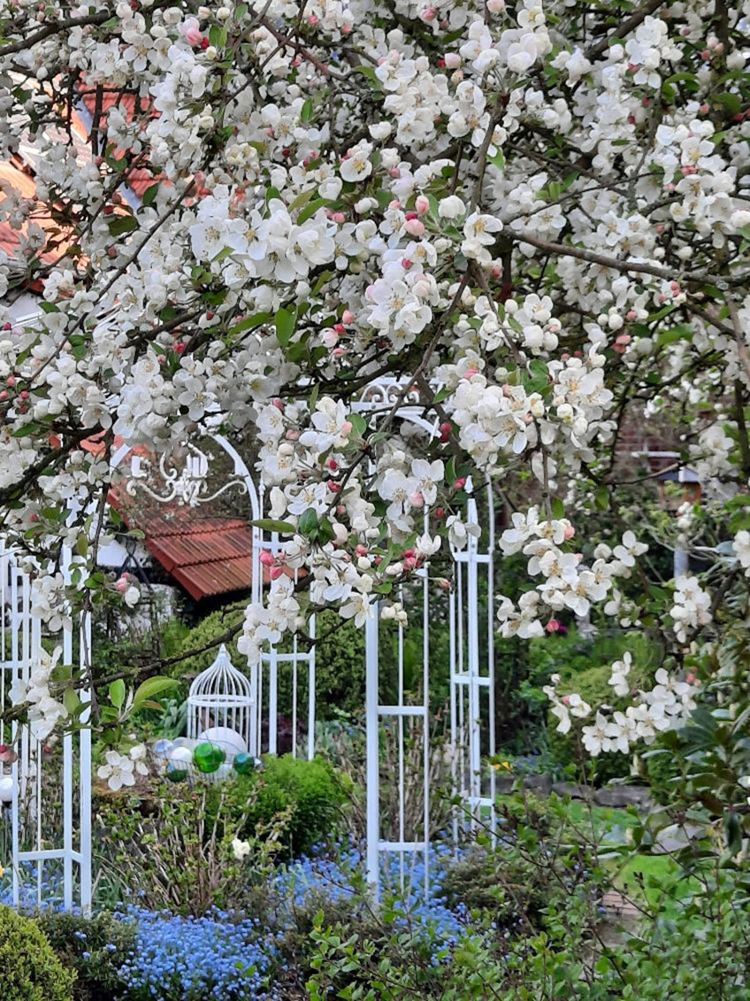 Garten Stuffel: Blick in den Garten Stuffel in Minden-B&ouml;lhorst. Autor: Anja Stuffel