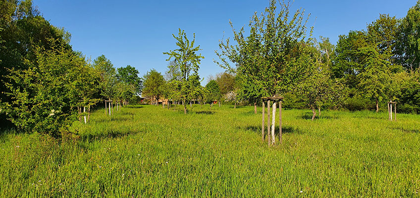 Minden ist nicht nur seit Dezember 2018 Mitglied im B&uuml;ndnis &bdquo;Kommunen f&uuml;r biologische Vielfalt&ldquo;, sondern es gibt auch eine ganze Reihe von Projekten und Ma&szlig;nahmen, die dazu beitragen, dass es auch in vor allem st&auml;dtisch gepr&auml;gten Gebieten eine gro&szlig;e Artenvielfalt gibt.