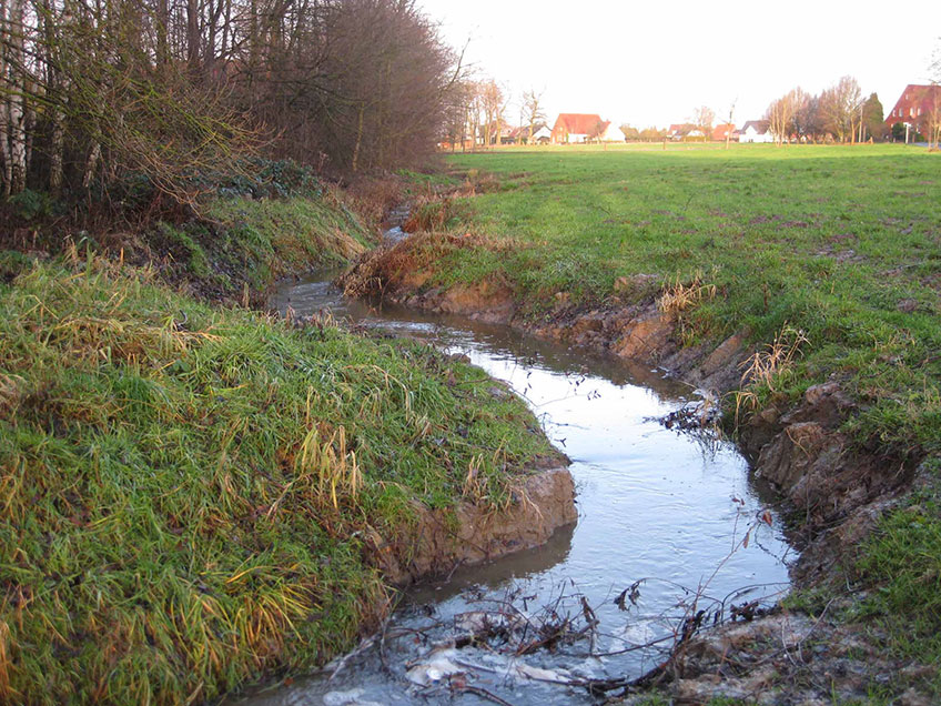 Minden ist nicht nur seit Dezember 2018 Mitglied im B&uuml;ndnis &bdquo;Kommunen f&uuml;r biologische Vielfalt&ldquo;, sondern es gibt auch eine ganze Reihe von Projekten und Ma&szlig;nahmen, die dazu beitragen, dass es auch in vor allem st&auml;dtisch gepr&auml;gten Gebieten eine gro&szlig;e Artenvielfalt gibt.