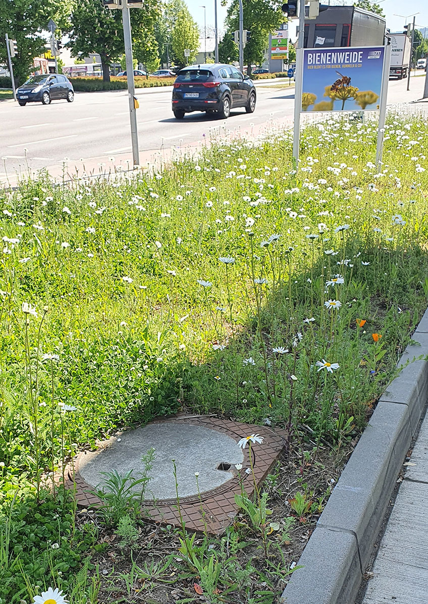 Minden ist nicht nur seit Dezember 2018 Mitglied im B&uuml;ndnis &bdquo;Kommunen f&uuml;r biologische Vielfalt&ldquo;, sondern es gibt auch eine ganze Reihe von Projekten und Ma&szlig;nahmen, die dazu beitragen, dass es auch in vor allem st&auml;dtisch gepr&auml;gten Gebieten eine gro&szlig;e Artenvielfalt gibt.