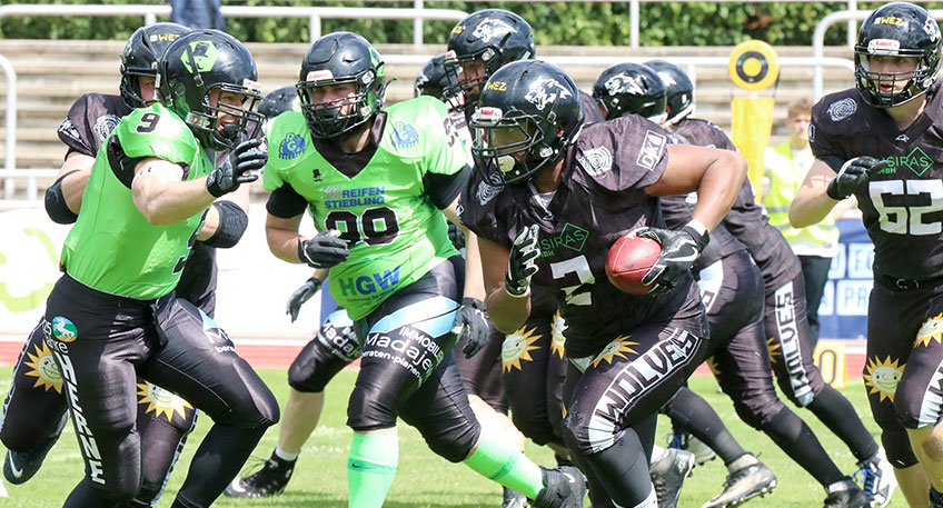 Die Minden Wolves schreiben weiter an ihrer Erfolgsgeschichte, setzen ihre Dominanz weiter fort und bezwingen nach zuvor zwei deutlichen Erfolgen als Aufsteiger in die Verbandsliga auch die Herne Black Barons im dritten Saisonspiel unangefochten mit 37:0! 