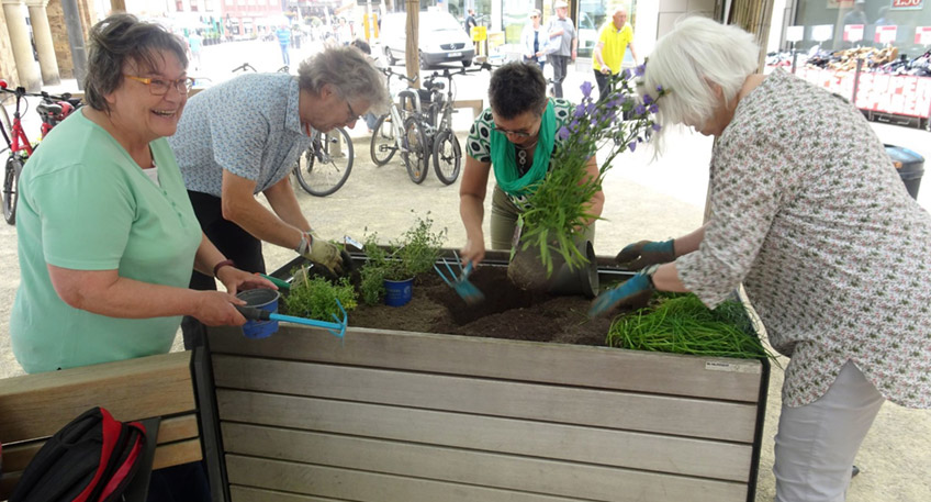 Pfefferminze, Kugelthymian und Erdbeeren warteten auf den Pflanzk&auml;sten, um eingepflanzt zu werden. Auch im Vorfeld der Aktion hat dank der St&auml;dtischen Betriebe Minden (SBM) alles reibungslos geklappt.