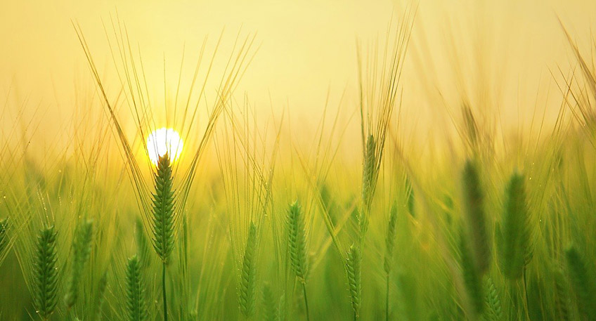 20220905 hallo minden oeko