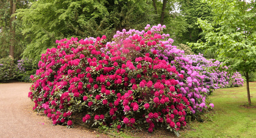 20220915 hallo minden sauberkeit 00