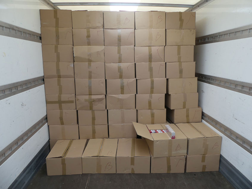 20221115 hallo minden pferd 00