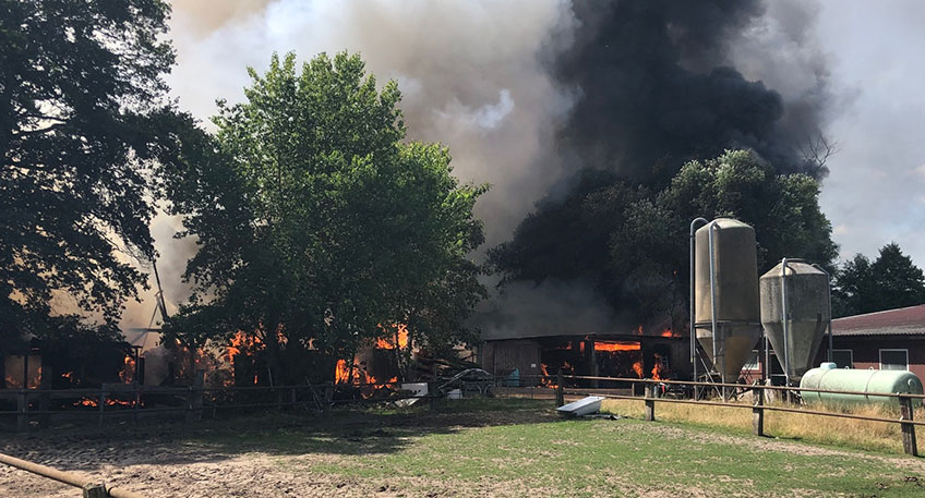 20220729 hallo minden stemmer 00