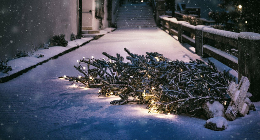 Die „ausgedienten“ Weihnachtsbäume wieder wieder von den Stadtwerken, verschiedenen Vereinen und Jugendfeuerwehren eingesammelt. Selbstverständlich können auch abgeschmückte Weihnachtsbäume zerkleinert über die Biotonne entsorgt werden. Aus organisatorischen Gründen muss der geplante und im Abfallkalender genannte Sammeltermin für den Stadtteil Dehme vom 07.01.2023 auf den 14.01.2023 verschoben werden. Die genauen Abfuhrtermine für die einzelnen Stadtteile sind nun wie folgt: Sa. 07.01.2023 Bergkirchen / Wulferdingsen: CVJM Bergkirchen Eidinghausen: CVJM Eidinghausen und Heimatverein Wöhren Lohe: CVJM Lohe Oberbecksen / Babbenhausen: Jugendfeuerwehr Oberbecksen Rehme : Jugendfeuerwehr Rehme Volmerdingsen: Jugendfeuerwehr Volmerdingsen Werste: Jugendfeuerwehr Werste Di. 10.01.2023 Innenstadt (zwischen der Nordbahn und Südbahn bis zur Hüffer Straße einschließlich der Kanalstraße, Lindenstraße und dem Gebiet um die Auguste-Viktoria-Klinik): Fa. PreZero Mi. 11.01.2023 Südstadt (südlich der Südbahn bis Loher Stadtteilgrenze und westlich bis zur A2): Fa. PreZero Sa. 14.01.2023 Dehme: Jugendfeuerwehr Dehme Eine Übersichtskarte für die Weihnachtsbaumsammlungen finden Sie auch unter dem Navigationspunkt Abfall unter www.stadtwerke-badoeynhausen.de Die Bäume müssen jeweils am Abholtag ab 6.00 Uhr gut sichtbar am Straßenrand abgestellt werden. Weihnachtsbäume, die größer als zwei Meter sind, müssen durchgeschnitten werden, um eine Abholung nicht zu erschweren. Sofern die Weihnachtsbäume nicht am jeweiligen Abholtag bereitstehen, sind diese vom Besitzer durch Eigenkompostierung bzw. zerkleinert über die Biotonne zu entsorgen. Da die Weihnachtsbäume einer Wiederverwertung (Kompostierung) zugeführt werden sollen, ist es erforderlich, dass die Bäume vollständig von allen Fremdstoffen (z. B. Lametta, Kugeln, Draht etc.) befreit werden. Kunststoffe und Metalle können z.B. bei der Kompostierung nicht abgebaut werden und behindern somit den Kompostierungsprozess. Da ein Absuchen des „Weihnachtsschmuckes“ durch die Einsammler nicht möglich ist, werden nicht abgeschmückte Weihnachtsbäume liegengelassen. Ein vollständiges Absammeln der Weihnachtsdekoration ist für die Wiederverwertung notwendig, da andernfalls nur die kostspielige Entsorgung der ausgedienten Bäume auf der Hausmülldeponie verbleibt.