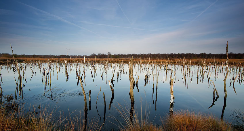 20230102 hallo minden duemmer see