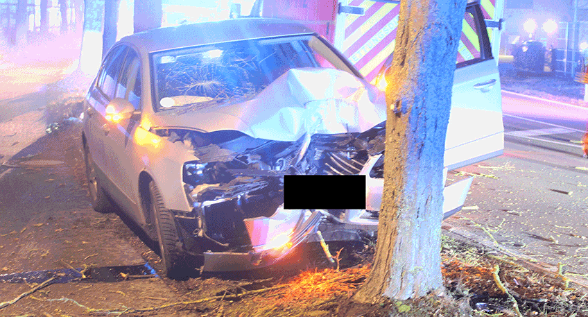 20230303 hallo minden unfall baum