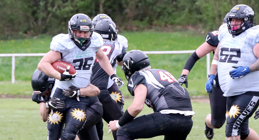 20230510 hallo minden wolves