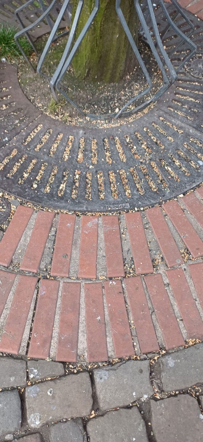 „Bitte nicht füttern“ - das gilt nicht nur für Tiere im Zoo oder auf der Weide, sondern auch für wildlebende Tiere in Parks und insbesondere in der Innenstadt. Darauf weisen die Städtischen Betriebe Minden (SBM) hin.