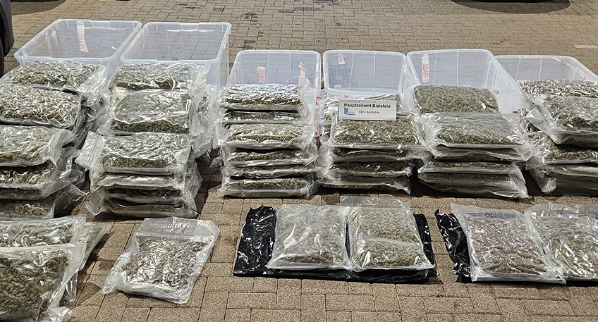 20230818 hallo minden marihuana 00