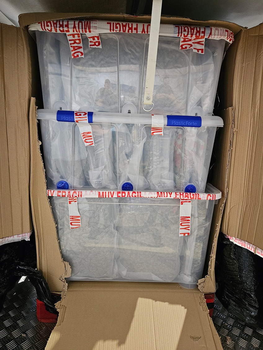 20230818 hallo minden marihuana 00