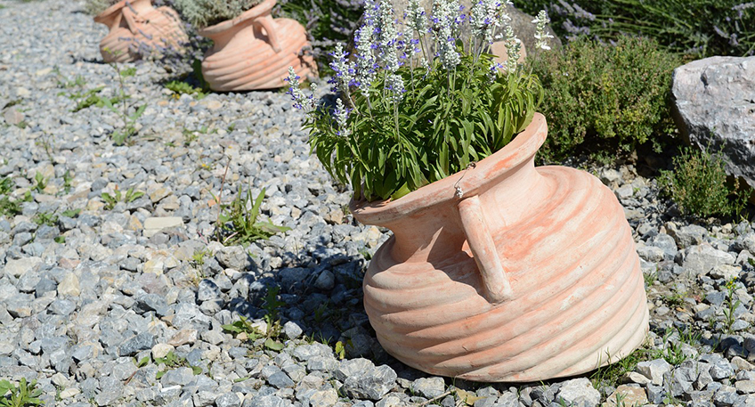 Am 21. September, 19. 0ktober und 30. November 2023, 19:00 bis 21:00 Uhr, werden Veranstaltungen zu jeweils verschiedenen Aspekten zum Thema &bdquo;Garten und Natur&ldquo; angeboten, zu denen alle Interessierten herzlich eingeladen sind.