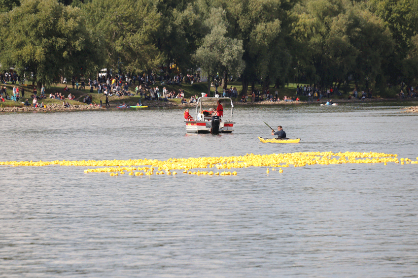 20230901 hallo minden blaues band 00