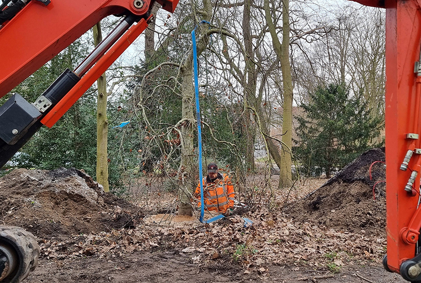 20240206 hallo minden baum gepflanzt 01