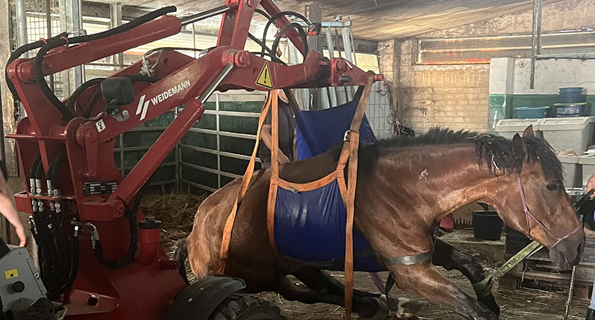 20240805 hallo minden pferderettung