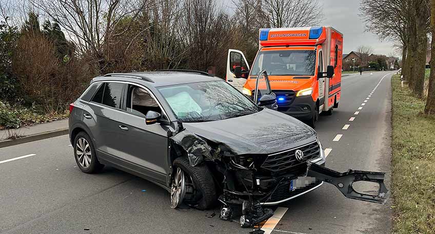 20241220 hallo minden baum