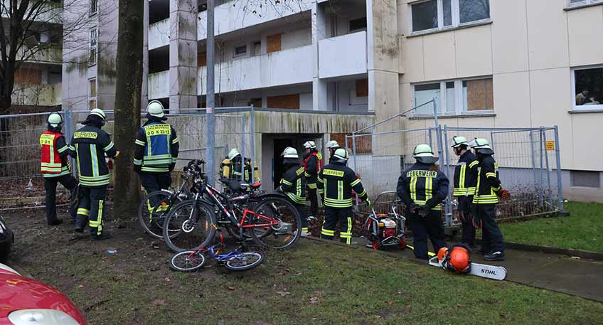 20250127 hallo minden rost 01