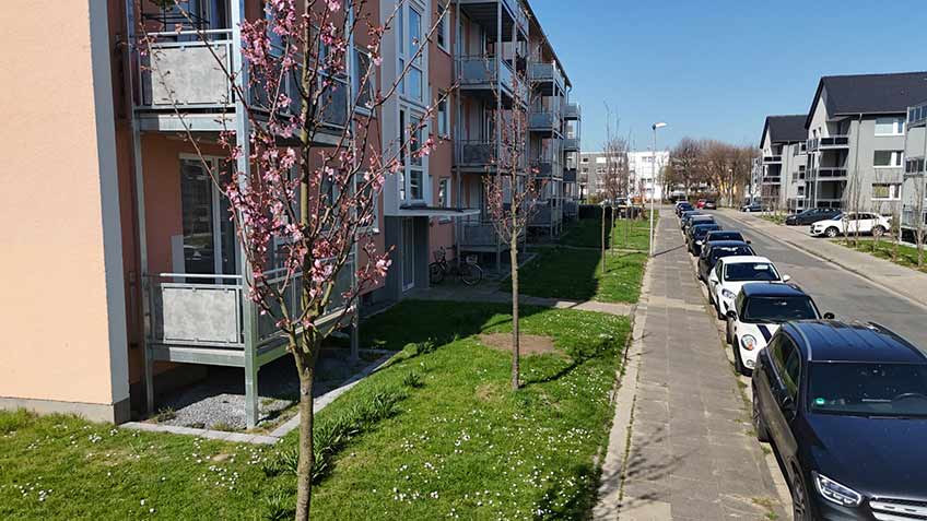 20250402 hallo minden wohnhaus 00