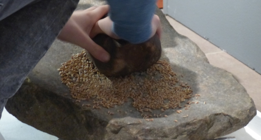 https://www.hallo-minden.de/data-minden/Archiv_Bilder/2025/202505_Mai/20250525_hallo_minden_mindener_museum_Steinzeitwoche.jpg