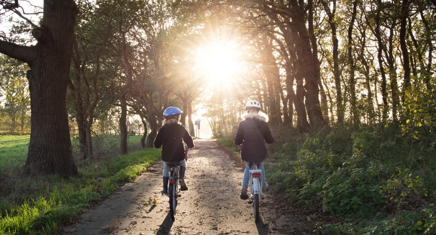 https://www.hallo-minden.de/data-minden/Archiv_Bilder/2025/202507_Juli/20250720_hallo_minden_fahrrad_pixabay.jpg