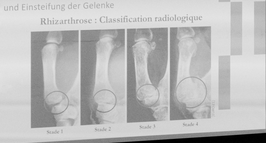 https://www.hallo-minden.de/data-minden/Archiv_Bilder/2025/202508_August/20250803_hallo_minden_hochschule_bielefeld_Ergonomisch_Pollmeier_050.jpg