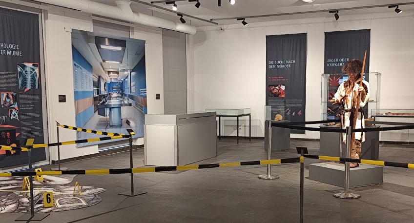 https://www.hallo-minden.de/data-minden/Archiv_Bilder/2025/202508_August/20250810_hallo_minden_MiMu_Blick_in_Ausstellung_Oetzi.jpg