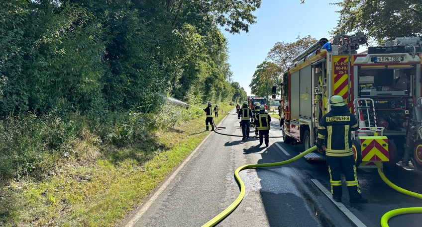https://www.hallo-minden.de/data-minden/Archiv_Bilder/2025/202508_August/20250812_hallo_minden_flachenbrand_porta.jpg