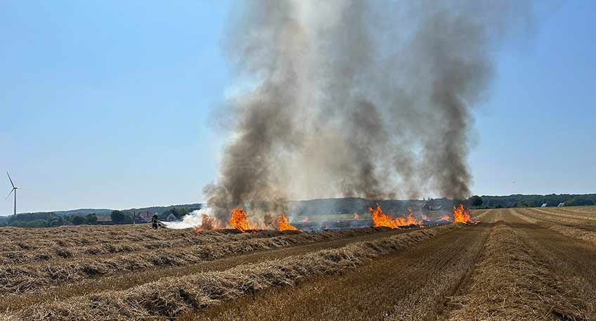 Die Freiwillige Feuerwehr Porta Westfalica wurde am Mittwoch, 13.08.2025, zu einem Flächenbrand auf einem abgeernteten Kornfeld an der Ellernstraße-Ellerburger Straße alarmiert. Der Brand hatte eine größere Fläche mit Stroh erfasst, konnte aber schnell unter Kontrolle gebracht werden.