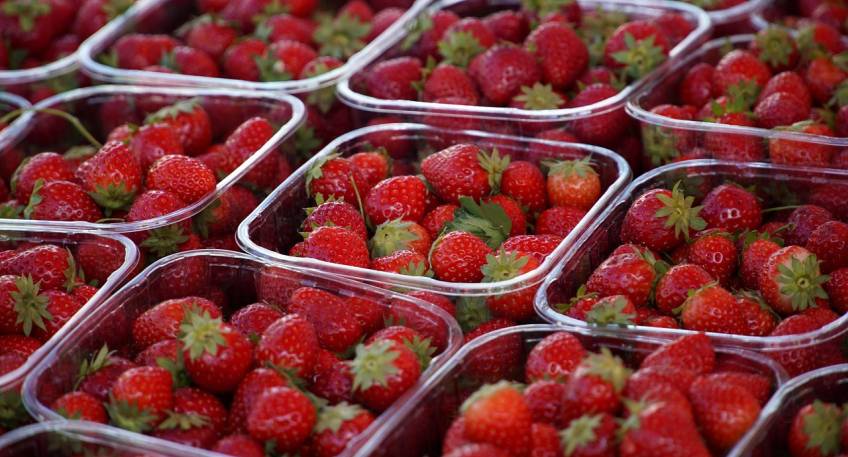 https://www.hallo-minden.de/data-minden/Archiv_Bilder/2025/202509_September/20250907_hallo_minden_erdbeeren_pixabay.jpg