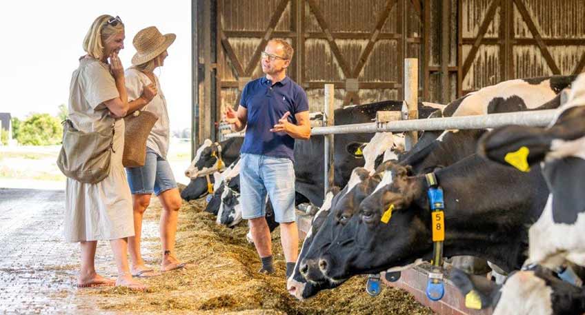 20251107 hallo minden milla 00