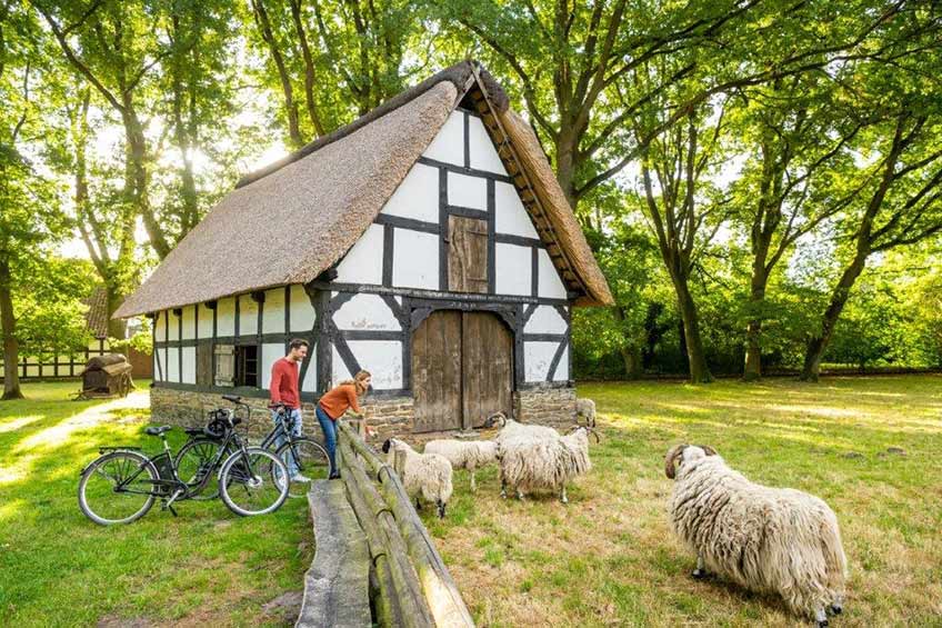 20251107 hallo minden milla 00