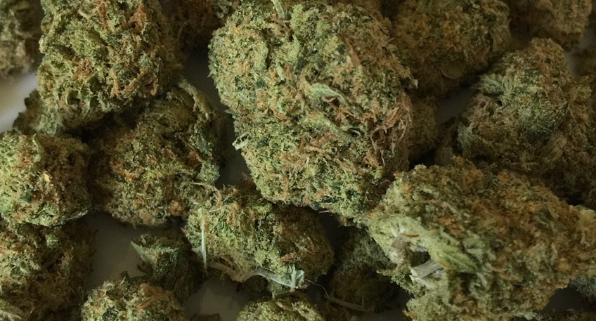 Seit Herbst 2020 sind in Einzelf&auml;llen Bet&auml;ubungsmittel im Umlauf, bei denen CBD-reiches Pflanzenmaterial (Bl&uuml;ten bzw. Harz) mit sehr potenten synthetischen Cannabinoiden versetzt wurde. Mit blo&szlig;em Auge ist dies nicht zu erkennen.