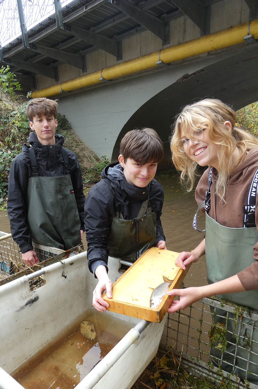 &copy; Dr. Christian Frenz