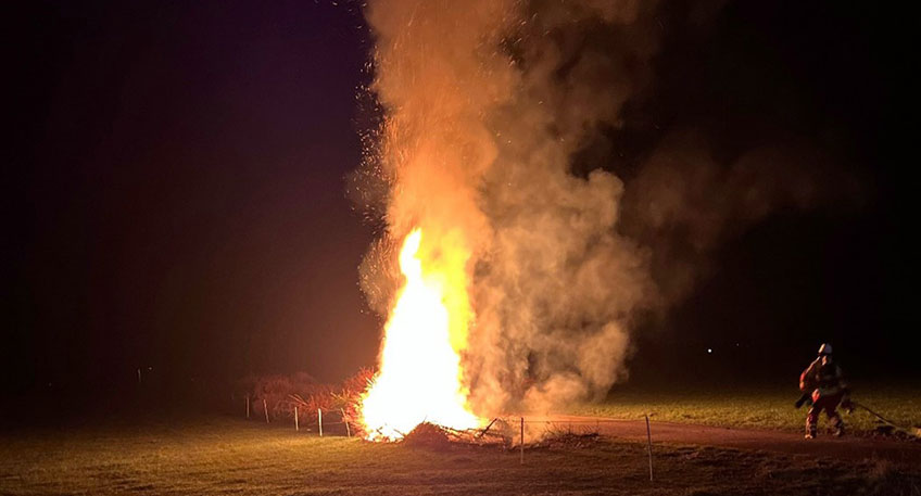 20260310 hallo minden brand tannenbaeume