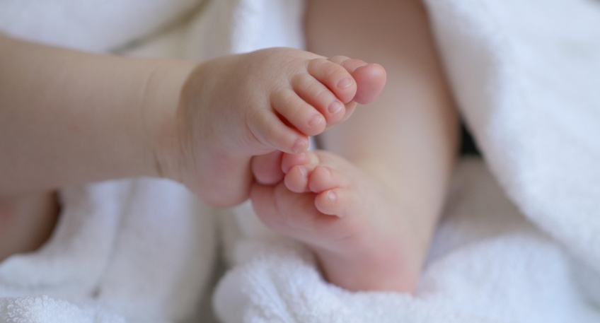 https://www.hallo-minden.de/data-minden/Archiv_Bilder/2026/202605_Mai/20260510_hallo_minden_baby_pixabay.jpg