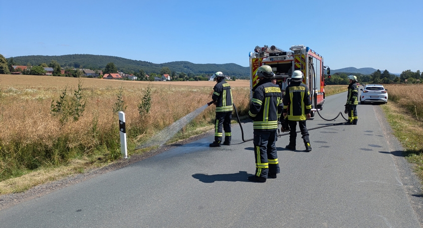 https://www.hallo-minden.de/data-minden/Archiv_Bilder/2026/202607_Juli/20260712_hallo_minden_porta_Flachenbrand_Entstehung_Papensgrund.jpg
