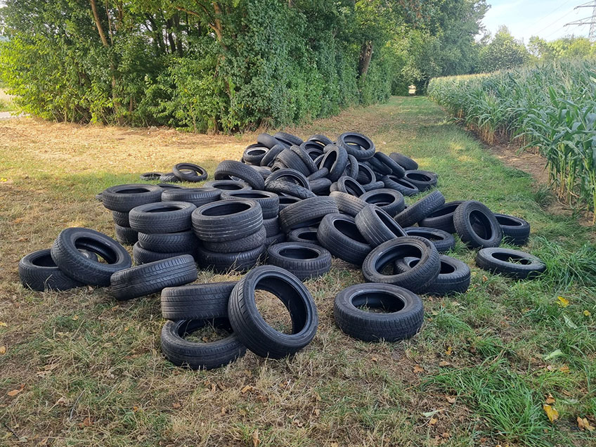20260828 hallo minden muell 00