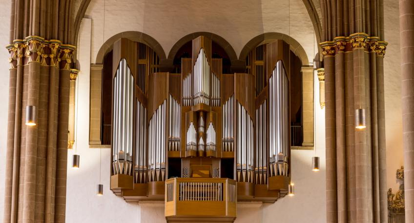 https://www.hallo-minden.de/data-minden/Archiv_Bilder/2026/202608_August/20260816_hallo_minden_dvm_Dom-zu-Minden_387.jpg