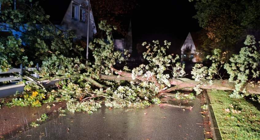 https://www.hallo-minden.de/data-minden/Archiv_Bilder/2026/202610_Oktober/20261025_hallo_minden_feuerwehr_minden_sturmtief_2.jpg