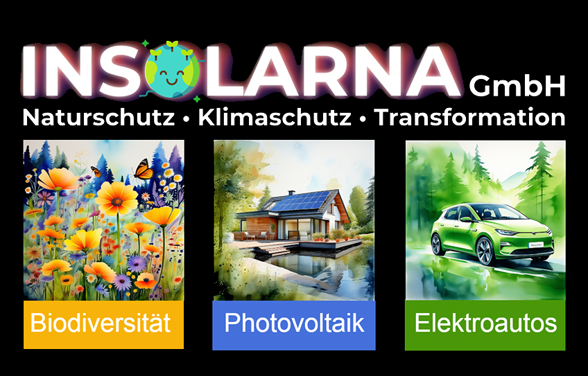 20240229 hallo minden nacke insolarna photovoltaik elektroautos biodiversität