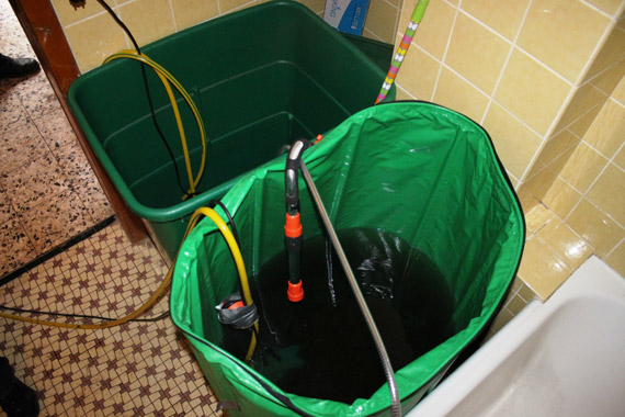 Nachrichten Minden - Polizei räumt Marihuana-Plantage ab - HALLO MINDEN