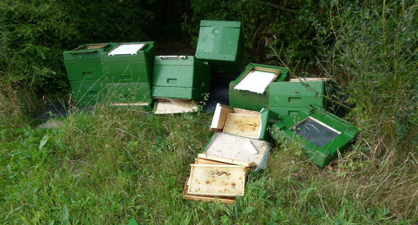 20150903 hallo minden bienenstoecke zerstoert