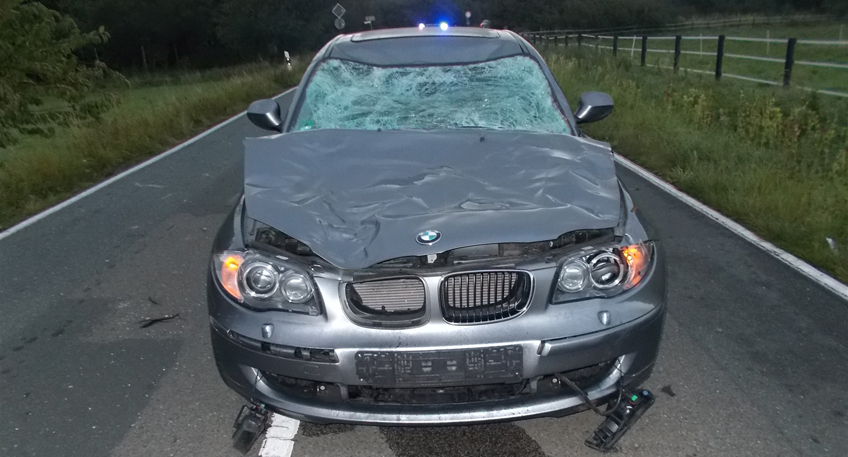 20150917-hallo-minden-auto-kollidiert-mit-Pferd